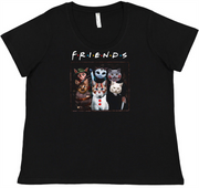 Friends Ladies Tee Ladies Shirt by Akron Pride Custom Tees | Akron Pride Custom Tees