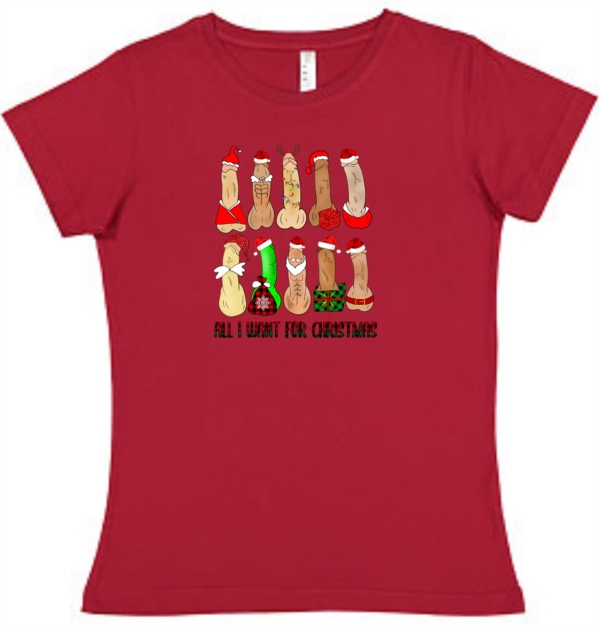All I want for Christmas Ladies Tee Ladies Shirt by Akron Pride Custom Tees | Akron Pride Custom Tees