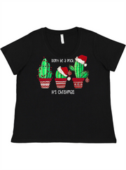 Don't be a Prick Ladies Tee Ladies Shirt by Akron Pride Custom Tees | Akron Pride Custom Tees