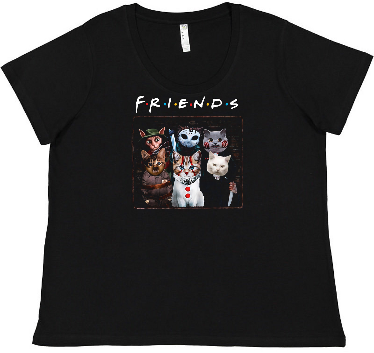 Friends Ladies Tee Ladies Shirt by Akron Pride Custom Tees | Akron Pride Custom Tees