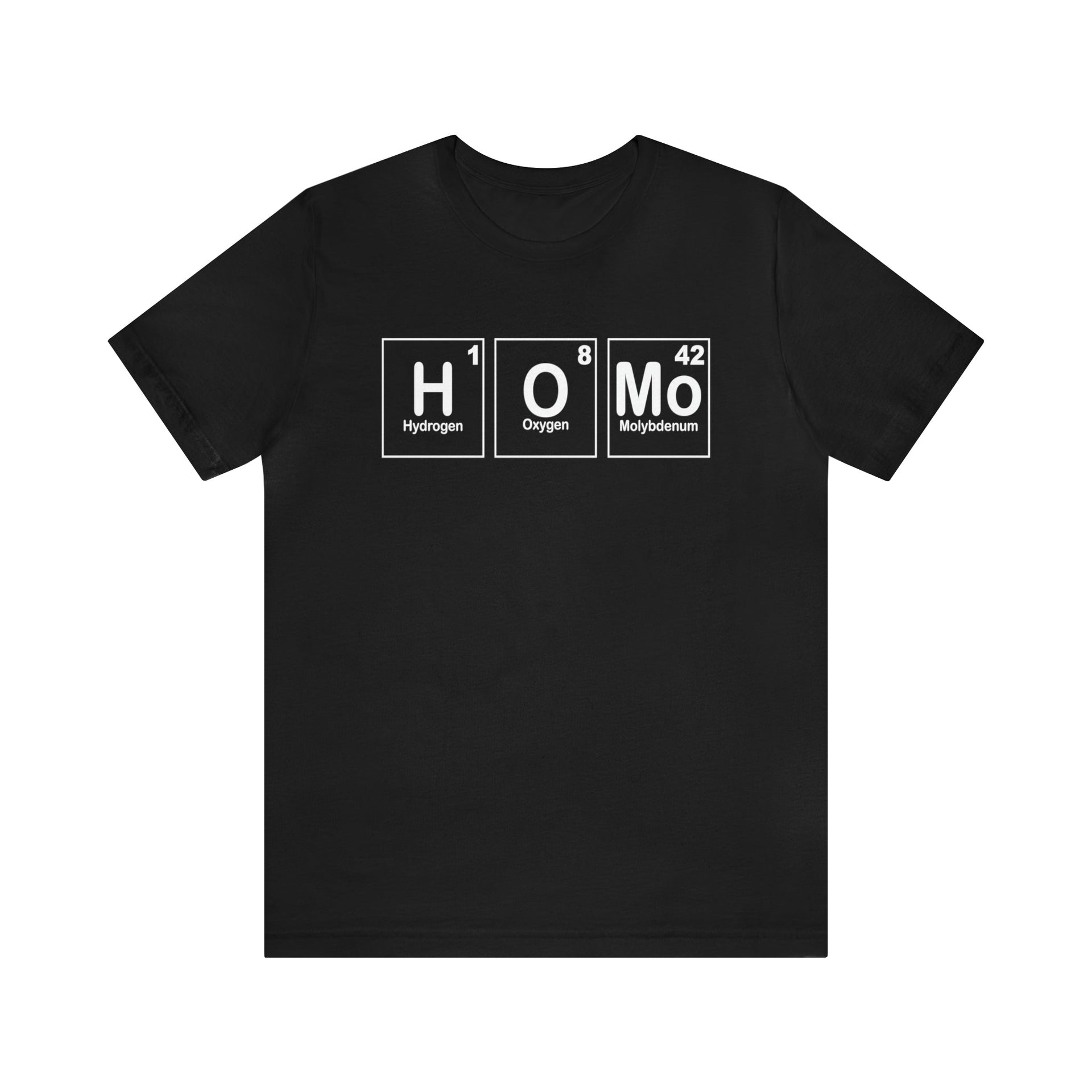 HOMO Tee Black S T-Shirt by Printify | Akron Pride Custom Tees