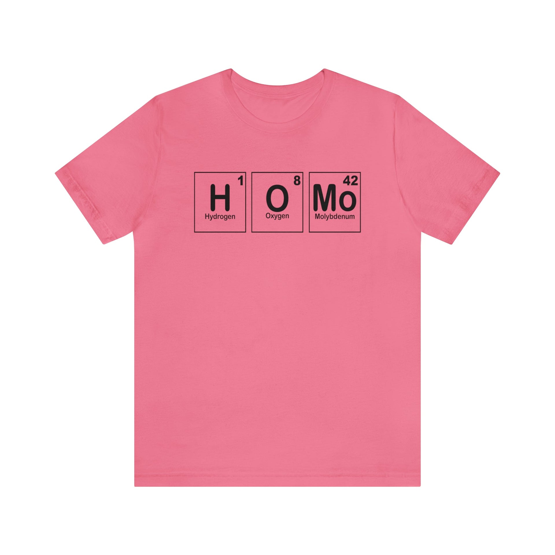 HOMO Tee Charity Pink S T-Shirt by Printify | Akron Pride Custom Tees