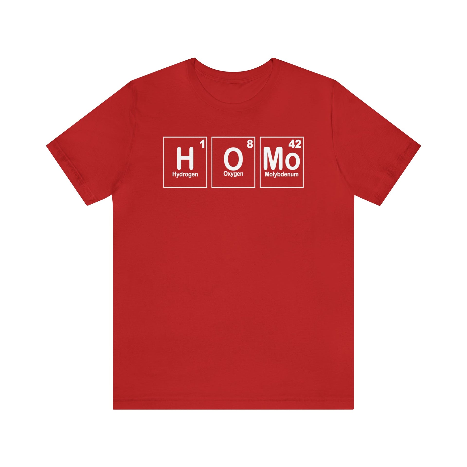 HOMO Tee Red S T-Shirt by Printify | Akron Pride Custom Tees
