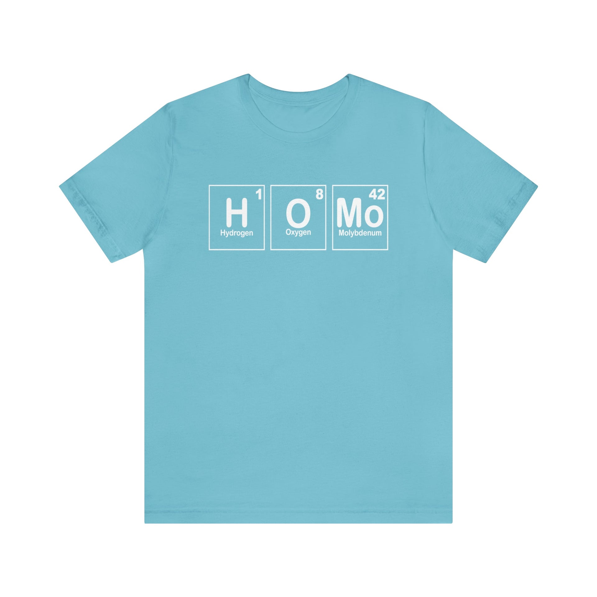 HOMO Tee Turquoise S T-Shirt by Printify | Akron Pride Custom Tees